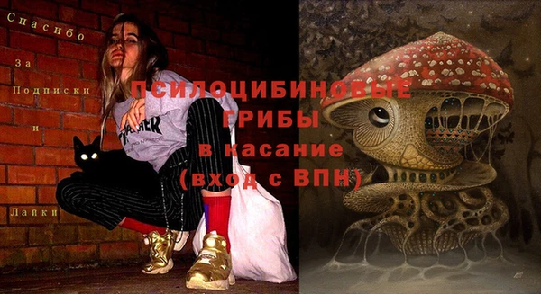 кокс Армянск