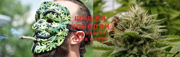 дурь Арсеньев