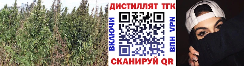 площадка официальный сайт цена наркотик Терек Дистиллят ТГК вейп