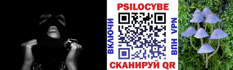 хочу наркоту  Терек  Псилоцибиновые грибы MAGIC MUSHROOMS 
